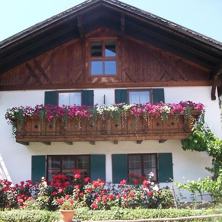 Haus Alpenrose Apartment Schwangau Luaran gambar