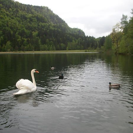 Haus Alpenrose Apartment Schwangau Luaran gambar