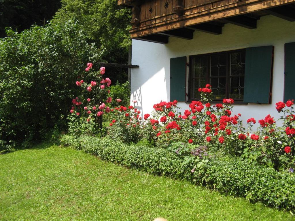 Haus Alpenrose Apartment Schwangau Luaran gambar